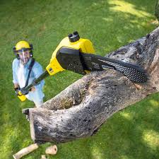 Lawn Maintenance Plans in Metter, GA